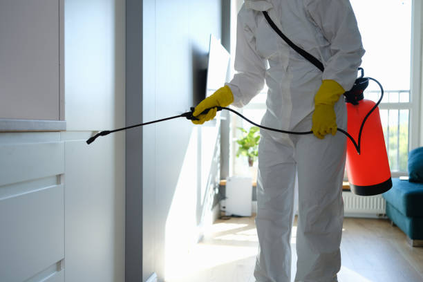 Mold Remediation for Rental Properties in Brewster, WA